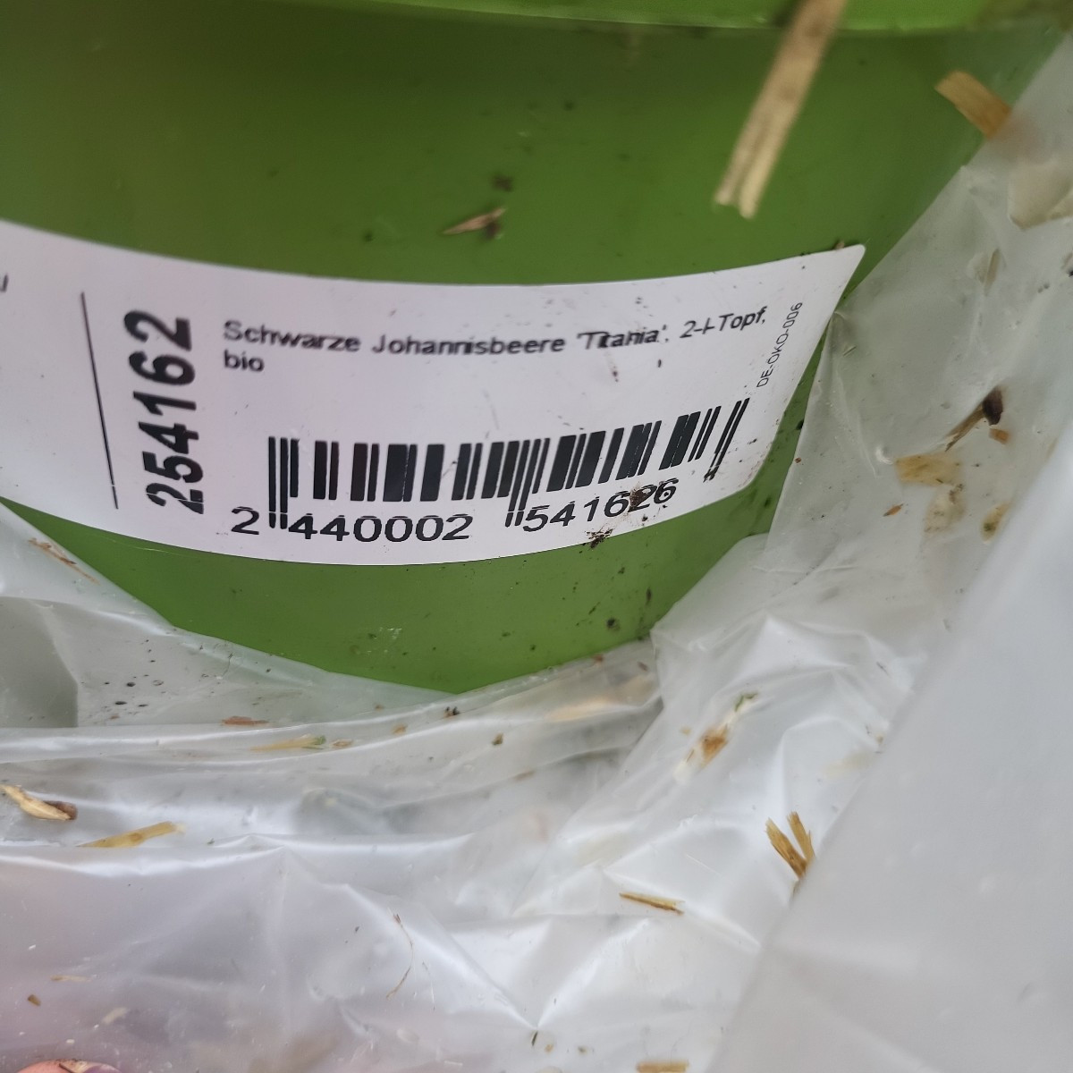 Titania, das hört sich nach großen Früchten an. Ich kann aber noch nicht aus Erfahrung sprechen😁