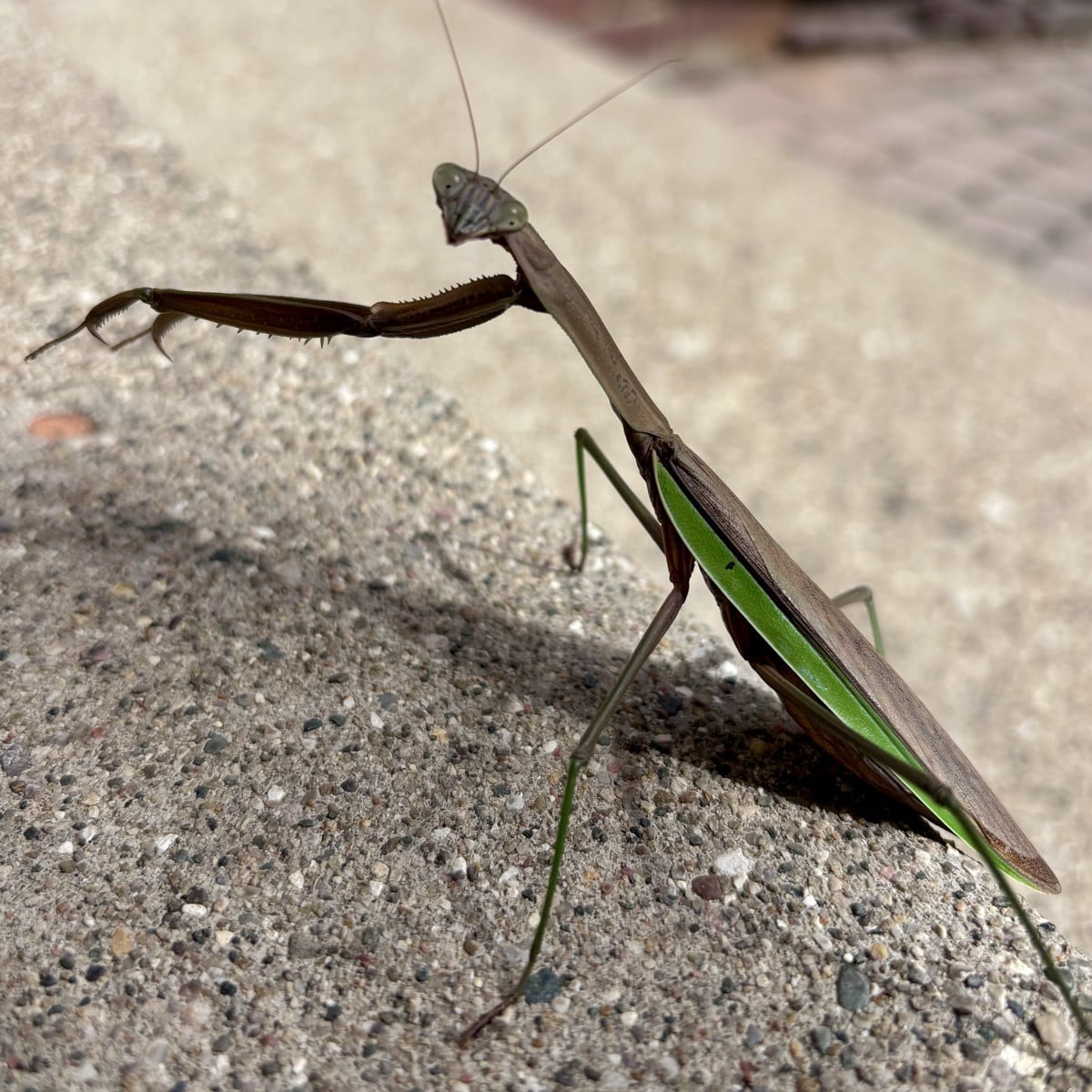 Besuch der etwas anderen Art 🤭 