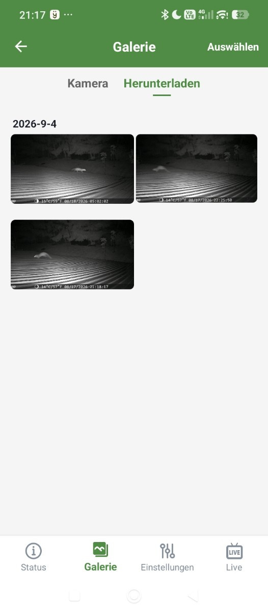 Hier siehst du die heruntergeladen Bilder.