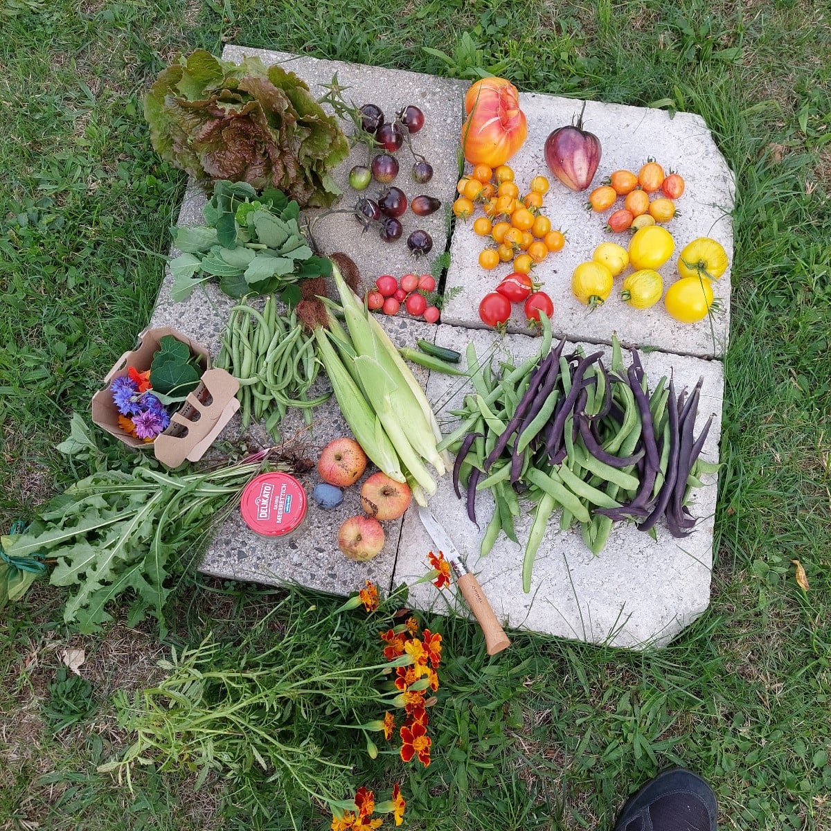 Today I finally got to spend some leisure time in the garden again.
And I was starting to think it was going to be a po…