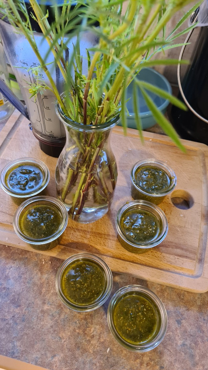 #Alexandro,  das war eine super Idee!!! Pesto aus der Mexikanischen Riesentagetes ist echt lecker! Danke für die Zweige…
