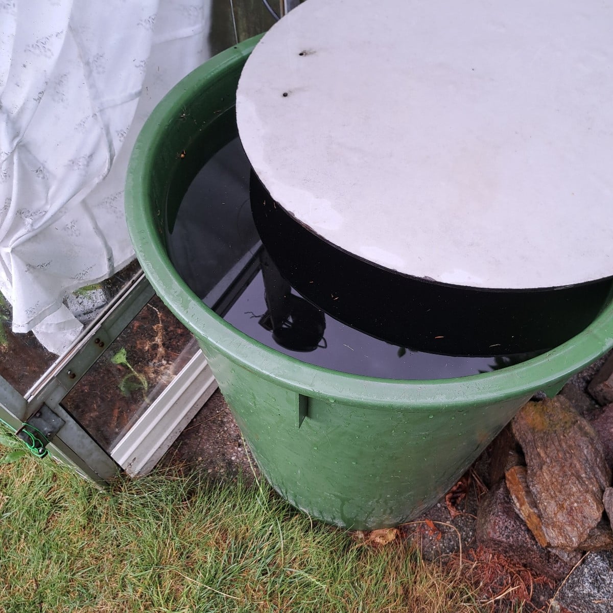 Endlich ist der Regen da 🌧☔️🥰

Bei uns hat es heute 50 bis 60 Liter auf 1m² geregnet. Und haben heute so 1800 Liter R…