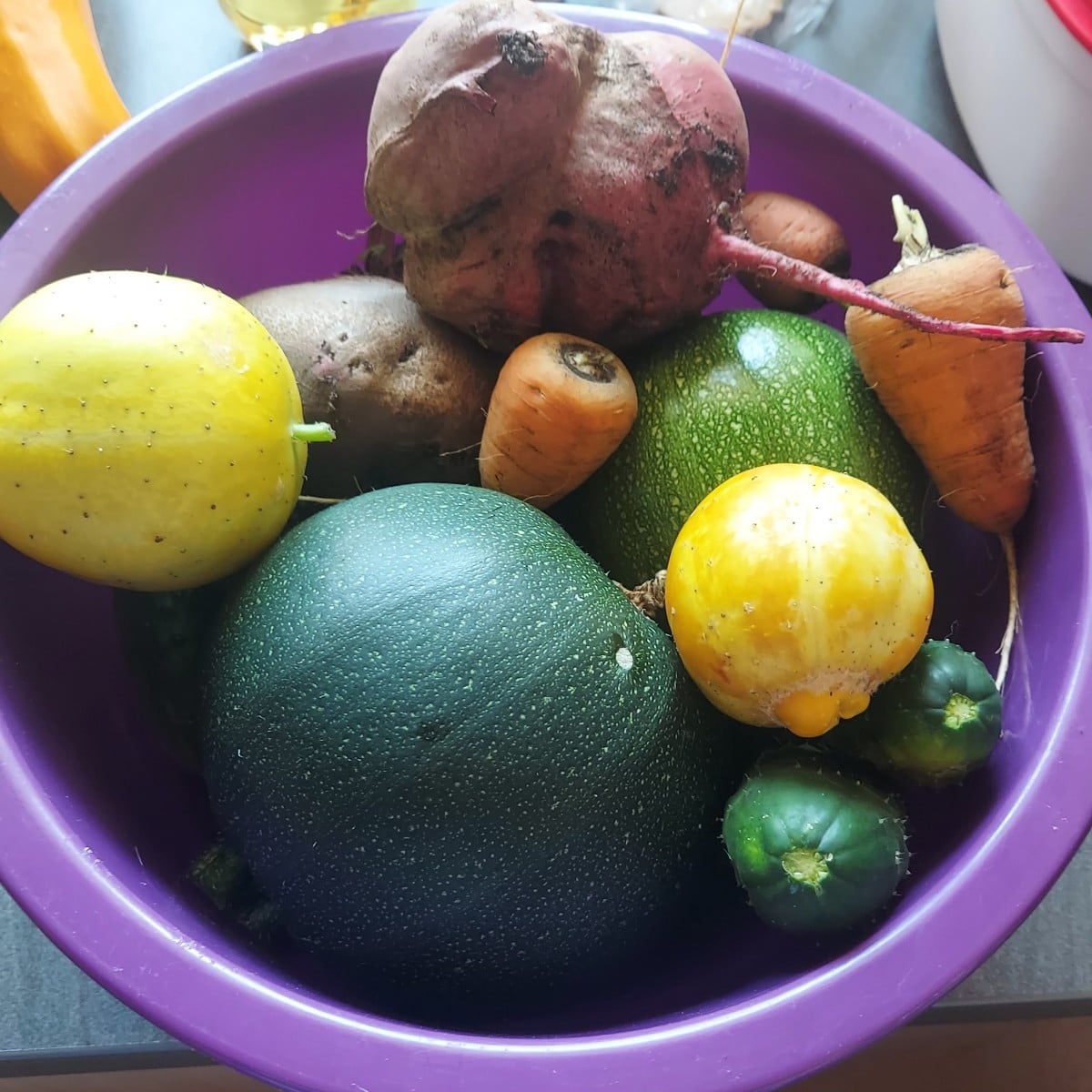 Heute die erste große Ernte reingeholt. Meine ersten Zucchini dieses Jahr 🥰
Einige Gurken hatten wir schon, sowie eine…