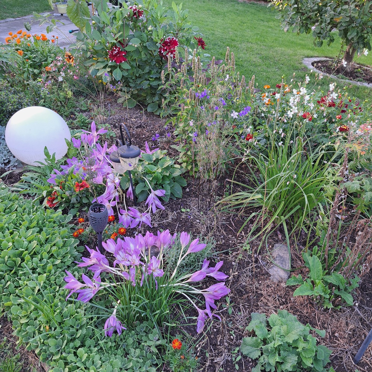 Hallo zusammen 😃

Ich hab heute den Ökologischerwert des Garten nach oben ↗️ geschraubt. Hab 12 neue Wilder Majoran, 4…