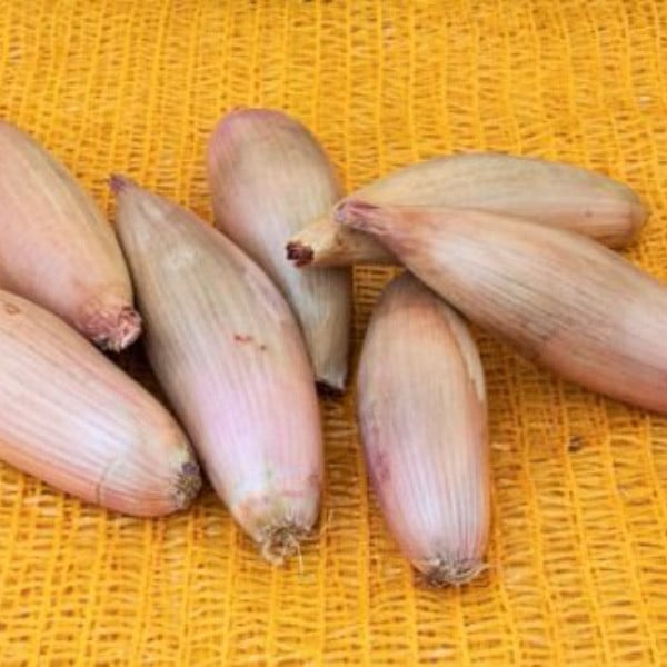 Cuisse de Poulet
