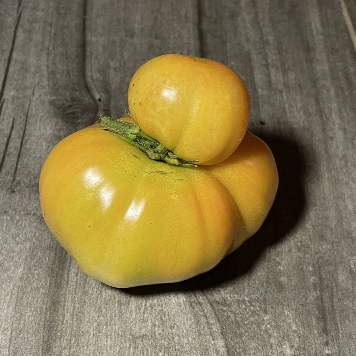 noch kurz vor‘m wohlverdienten Wochenende #einkaufenimgarten gewesen 

dabei ein Tomaten-Entchen (Harzfeuer) entdeckt u…