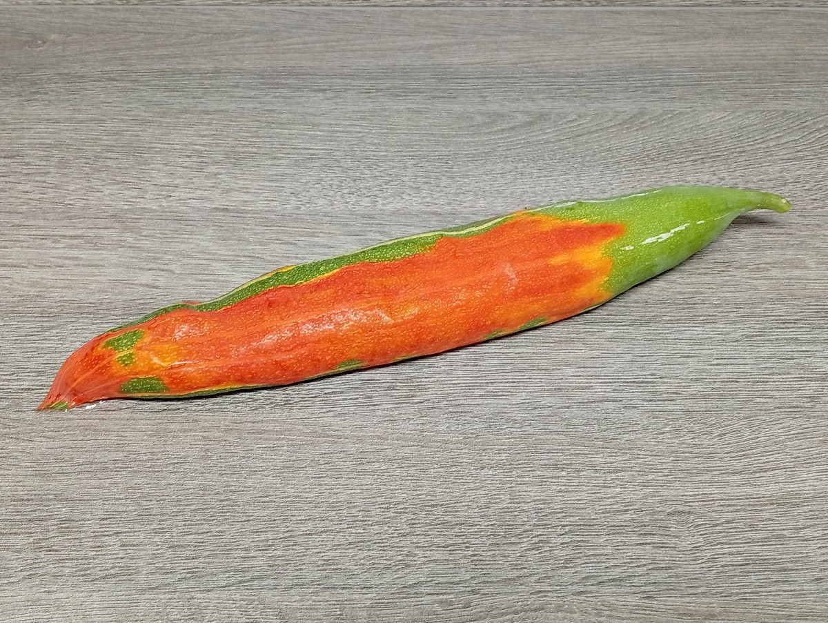Es ist das innere, die Kerne umhüllende Fruchtfleisch der ausgereiften Früchte. Die Frucht, aus der wir es entnommen ha…
