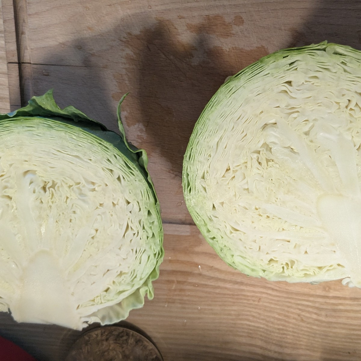 Erster Kohl geerntet. #Premiumkohl