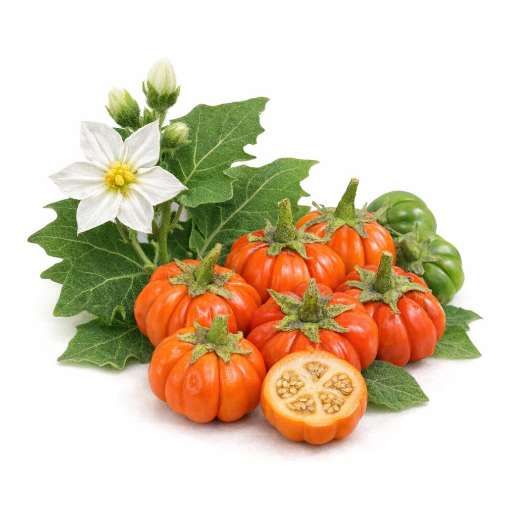 Äthiopische Eierfrucht