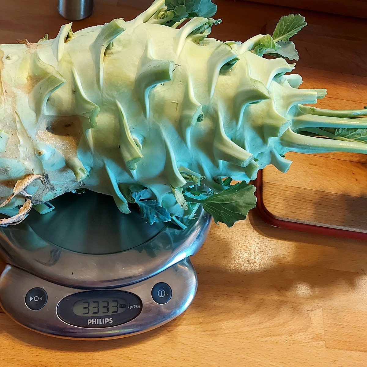 Heute habe ich endlich meinen Superschmelzkohlrabi geerntet, 3333g. Hoffentlich ist er nicht holzig.  Dann gab es noch …