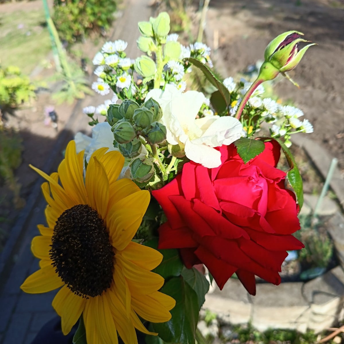 Zum Herbstanfang ein Blumenstrauß für zu Hause mit genommen .