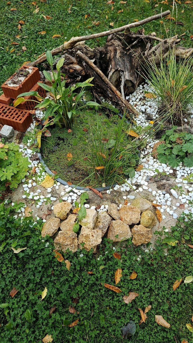 Heute habe ich angefangen den Garten winterfest zu machen. Das heißt, Klo mitgenommen, Wasserkanister entleert, Pumpe a…