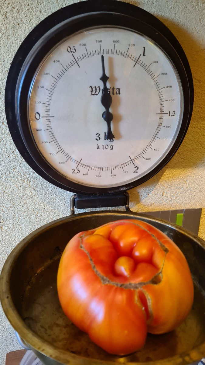 Schatz, heute gibts Tomatensalat.....