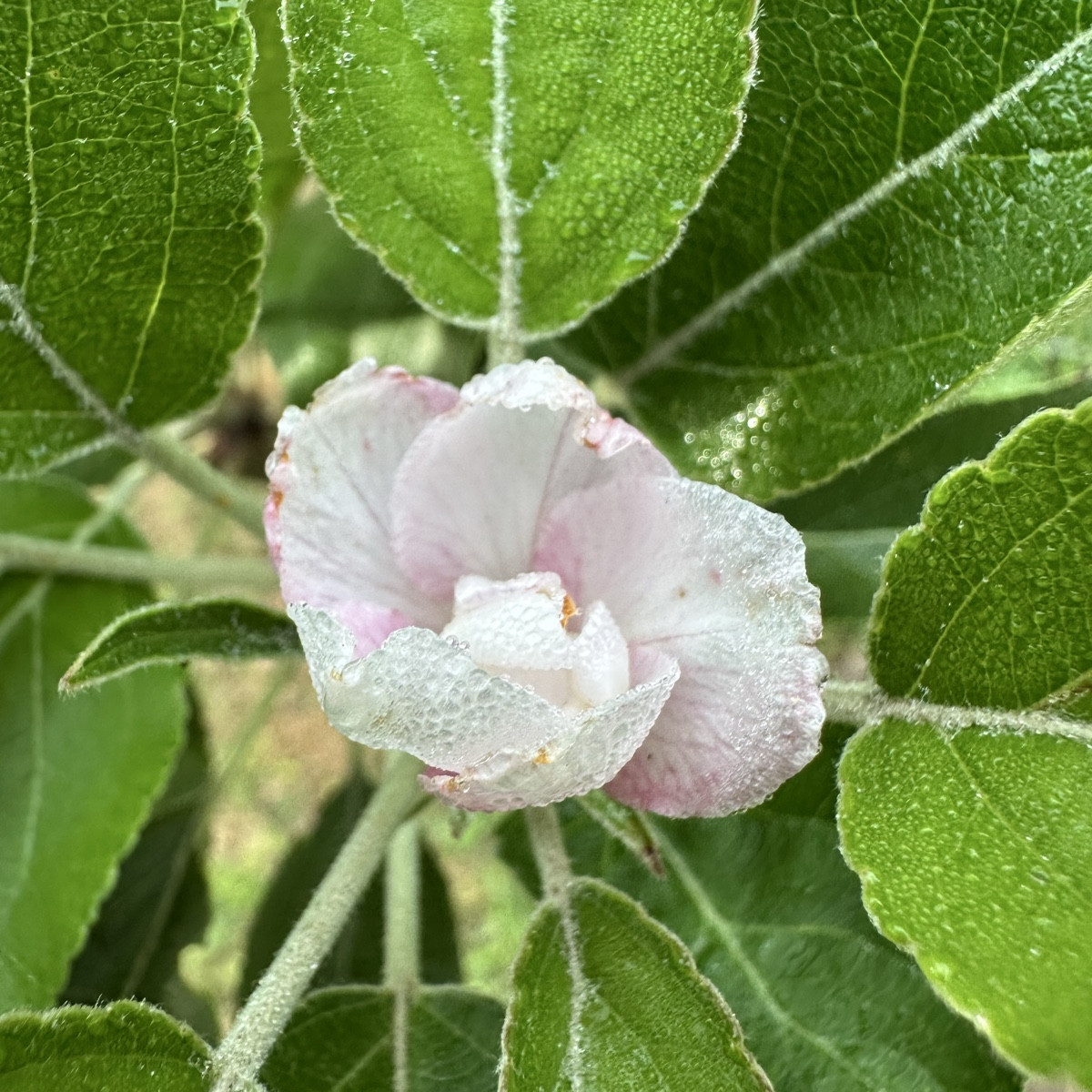 Was für ein verrückter Sommer…