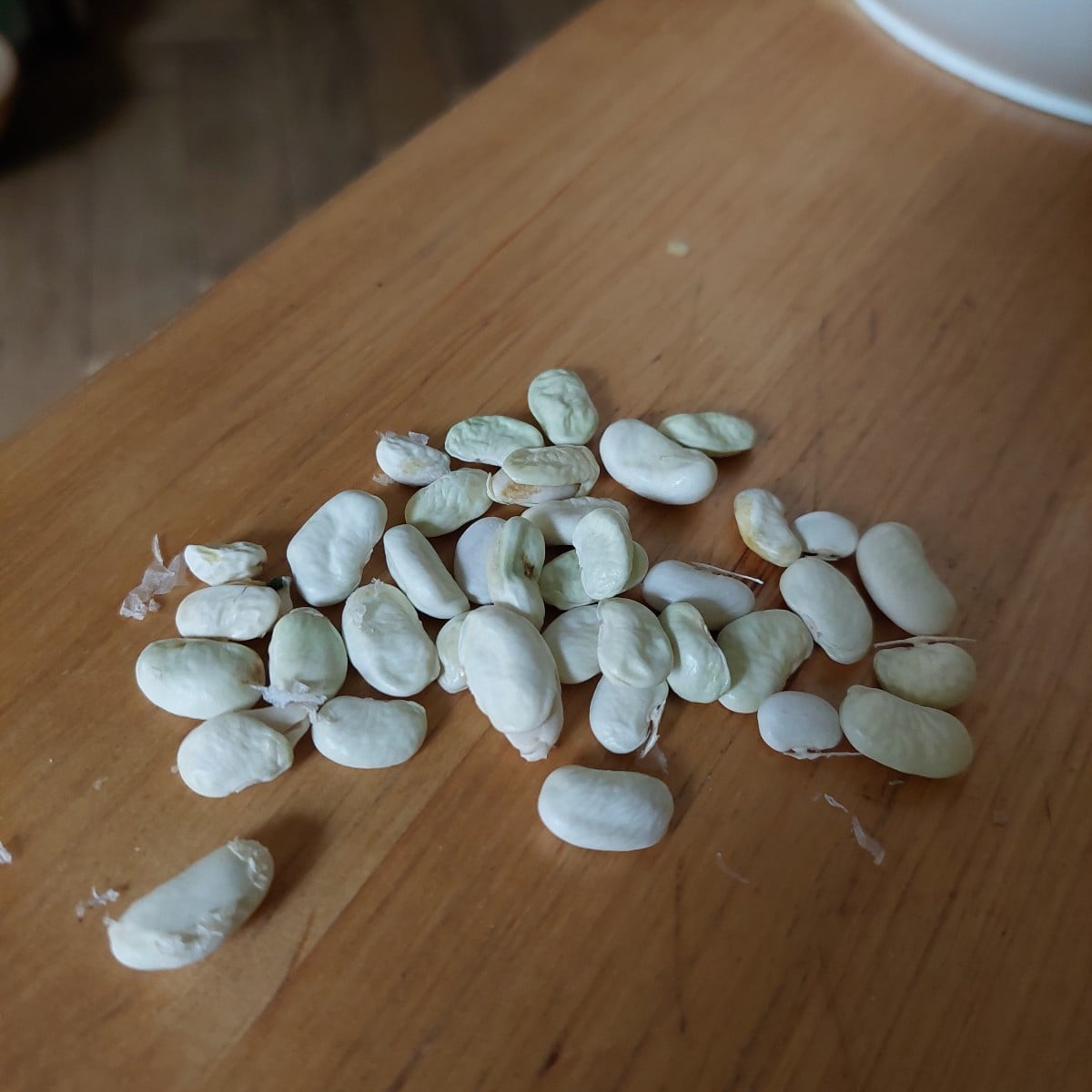 Alle meine Bohnen haben nur weiße Kerne, auch Blauhilde. Haben sie sich vermischt?
Waren sie noch nicht reif? Sehen auc…