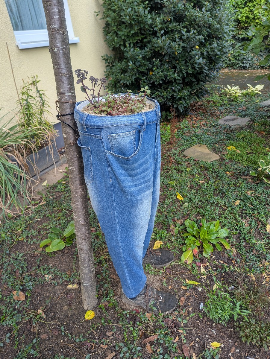Der neue Mitbewohner im Vorgarten - ist aber nur eine halbe Portion.
