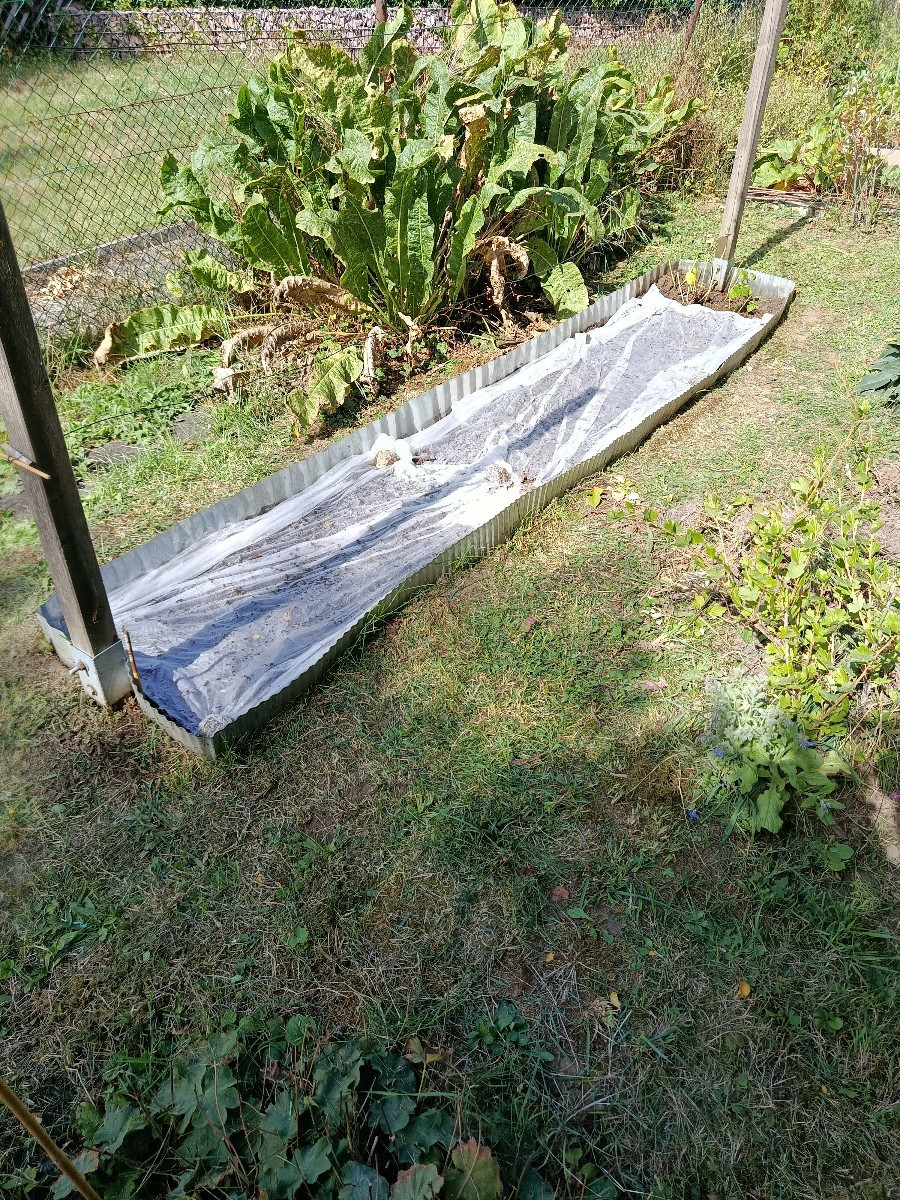 Heute bei unfassbaren 29°C komme ich natürlich auf die Idee, meine alten Himbeeren weg zu machen. Der Boden ist so knoc…