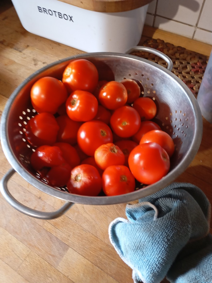 Heute Holunder, Birnen Saft hergestellt Tomaten Rot und Gelb geerntet gestern meinen Pflaumenbaum gelehrt meine totholz…