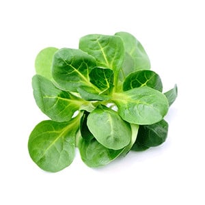 Verte á coeur plein 2