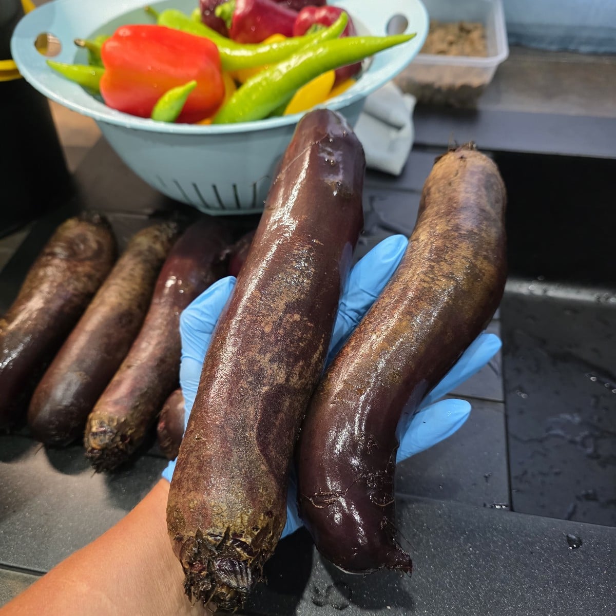 Wieder mal Paprika und rote Bete gesammelt.
3 neue Sorten Chili,  leider sind die dieses Jahr sehr spät reif. 
Aus dene…