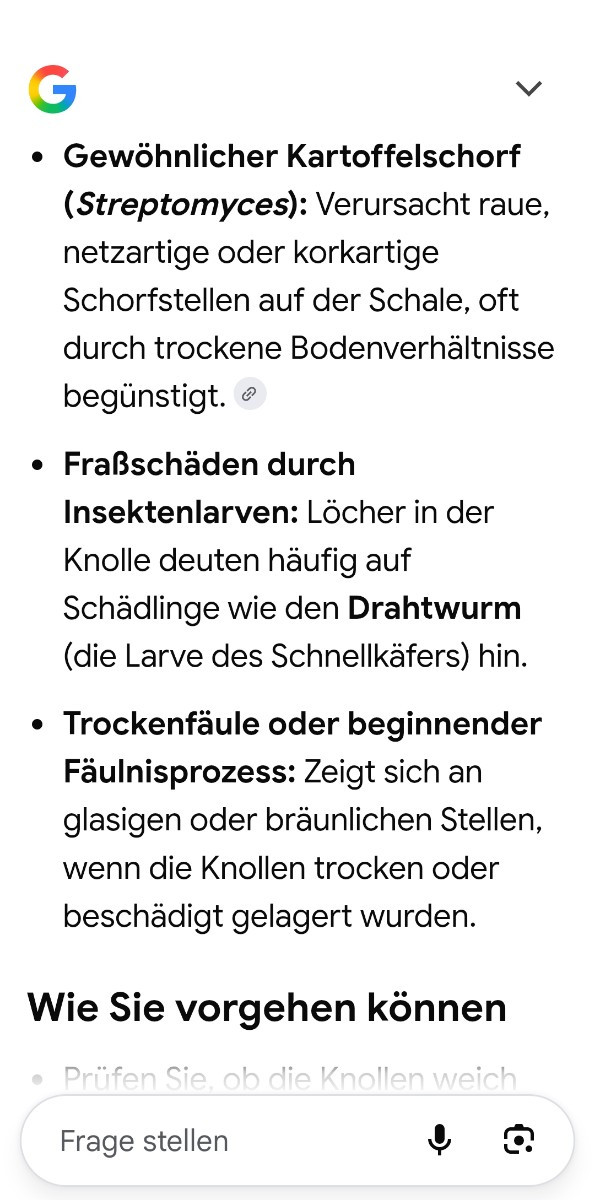 Ich hatte auf Drahtwürmer und Schorf getippt, lens sagt da siehe Foto. Hattest du eigene Saatkartoffeln?