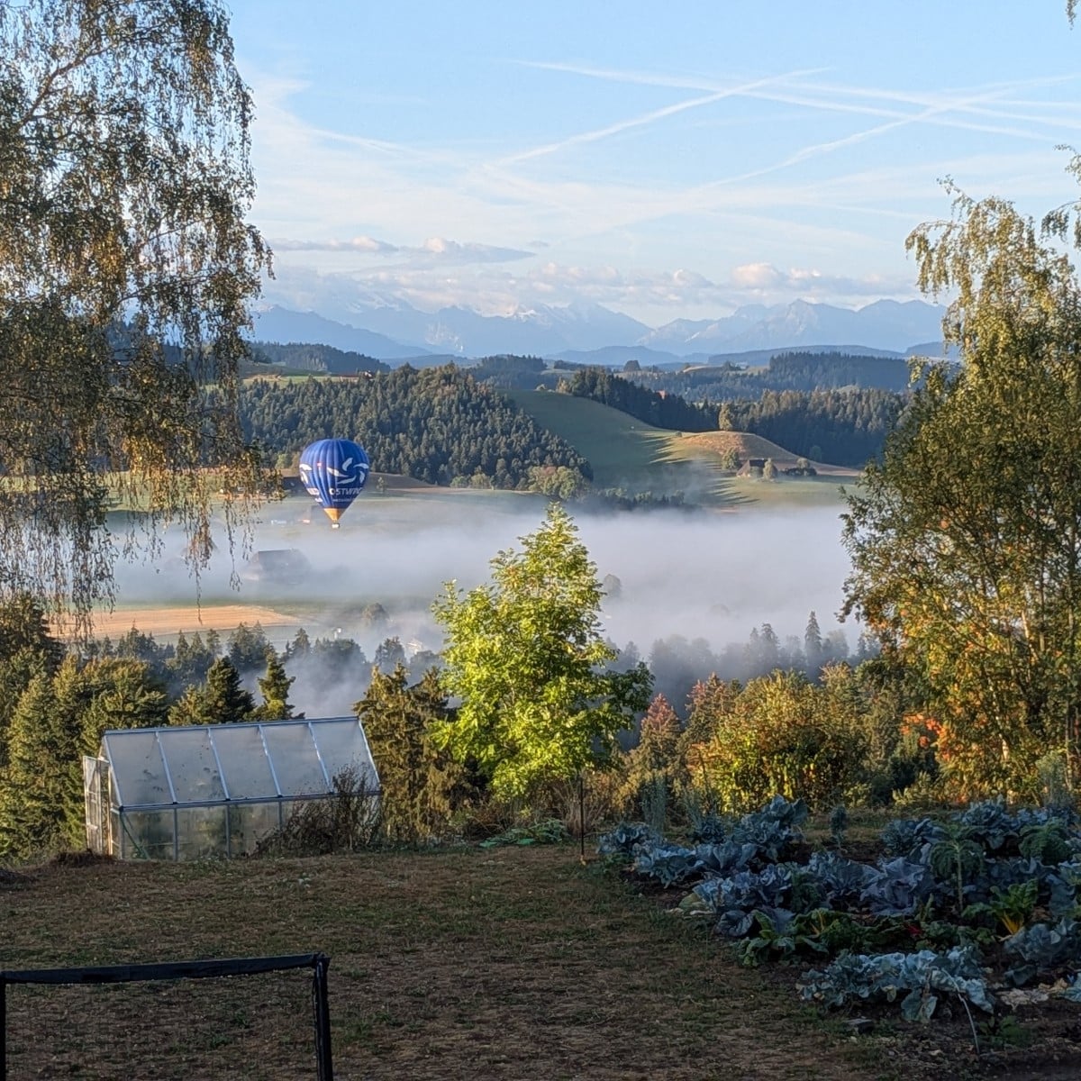 Nach dem ersten richtigen Regentag seit Monaten hats sogar ein Nebelchen im Tal 🥰