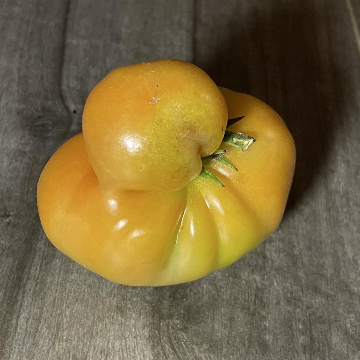noch kurz vor‘m wohlverdienten Wochenende #einkaufenimgarten gewesen 

dabei ein Tomaten-Entchen (Harzfeuer) entdeckt u…