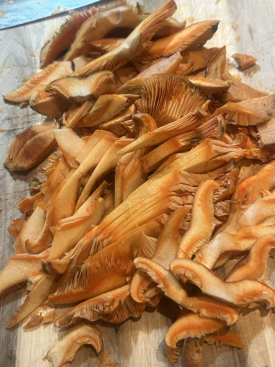 Ein Pilz der gar nicht nach Pilz schmeckt?! 

Ein Pilz mit einer Konsistenz von Lachs/Steak?!

Ein Pilz der schöner nic…