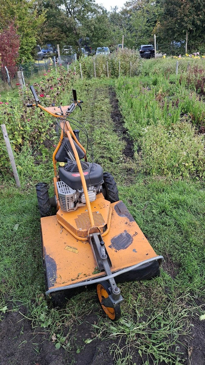 Heute haben wir auf der Freifläche viele der Beete für den Winter vorbereitet. Die alten verblüten Pflanzen raus, oder …