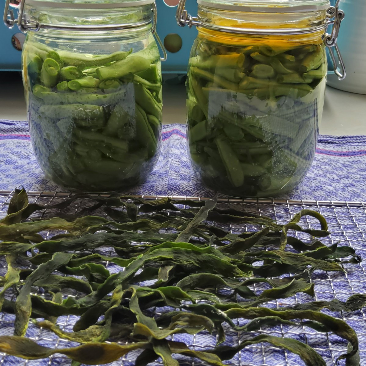...Aus meiner #Experimentierküche:
...für mich jedenfalls ist es Neuland: Bohnen @neckarkoenigin #dörren und #fermentie…