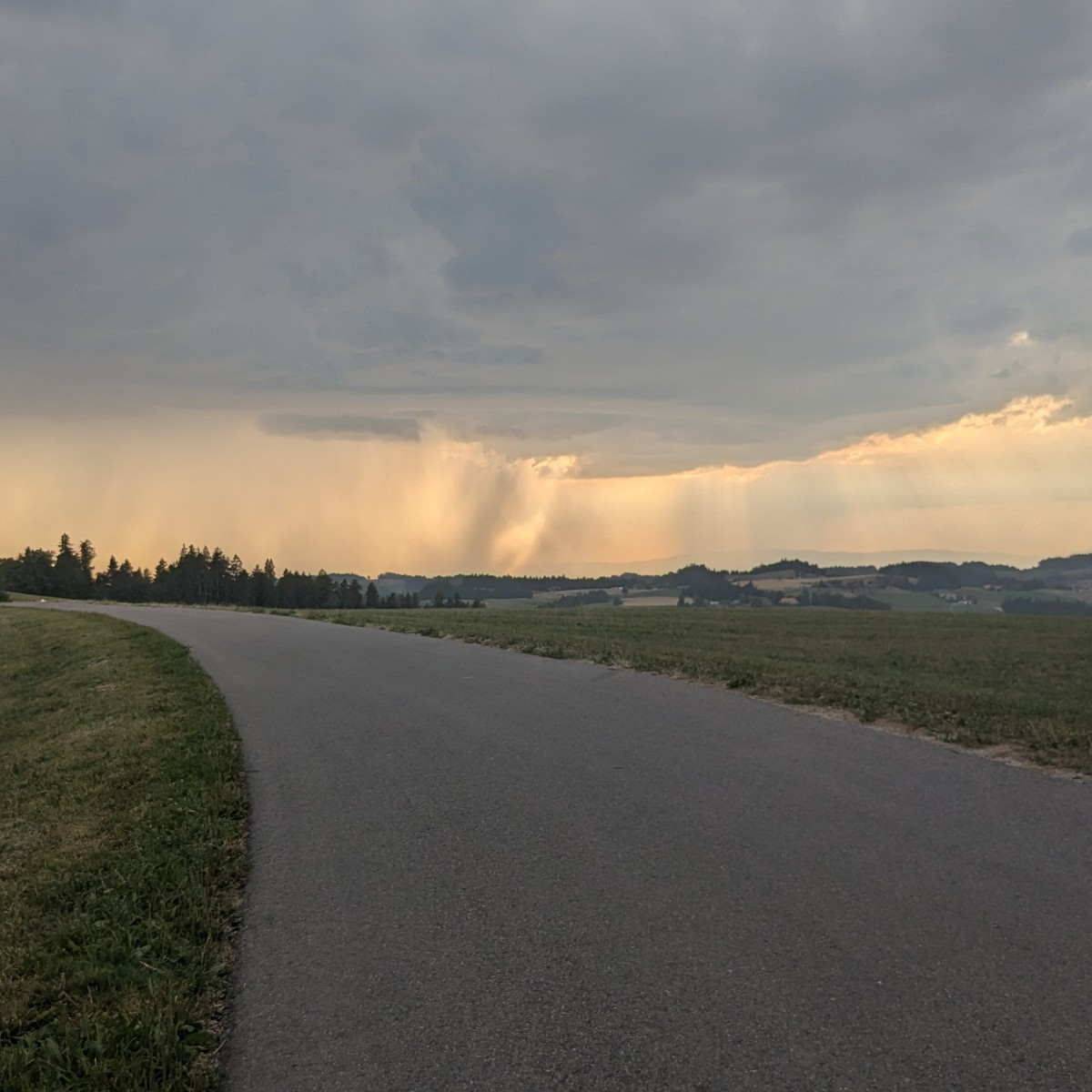 Bilder wie im Herbst, aber endlich gabs n guten Gutsch Regen 🥰
Zwar grad bissl viel auf einmal, für den harten Boden, …