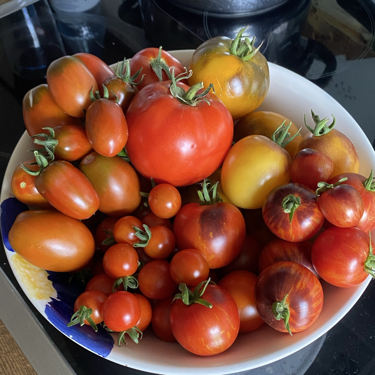 Es geht so richtig los Tomaten 🍅 von verschiedenen Sorten……
Black Plum , Marmande, Zuckertraube,Feuerkugel und die gel…