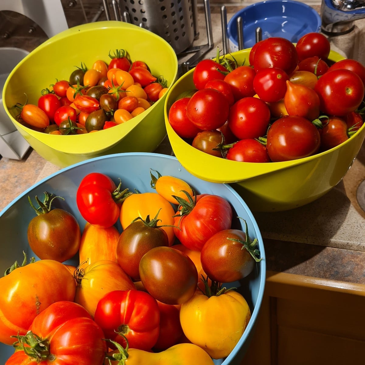 Ein Herz für Tomaten! Man kann nie genug Tomaten haben....