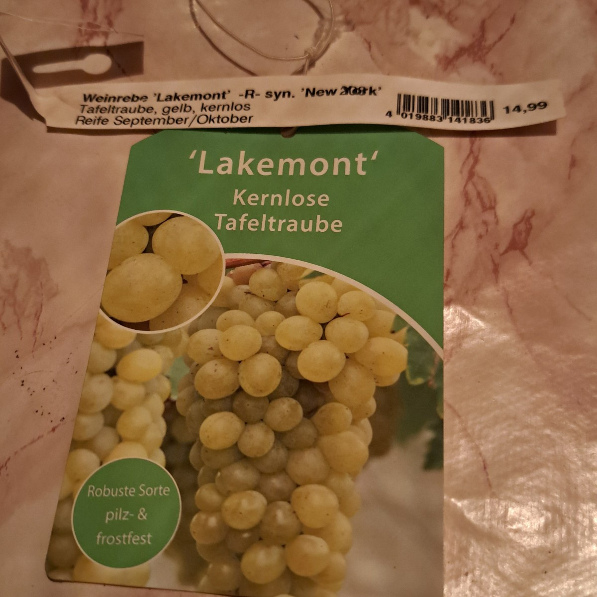 Diese Sorte ist auch Kern frei. Bei der blauen Wein muss ich erst zu Hause nachschauen.