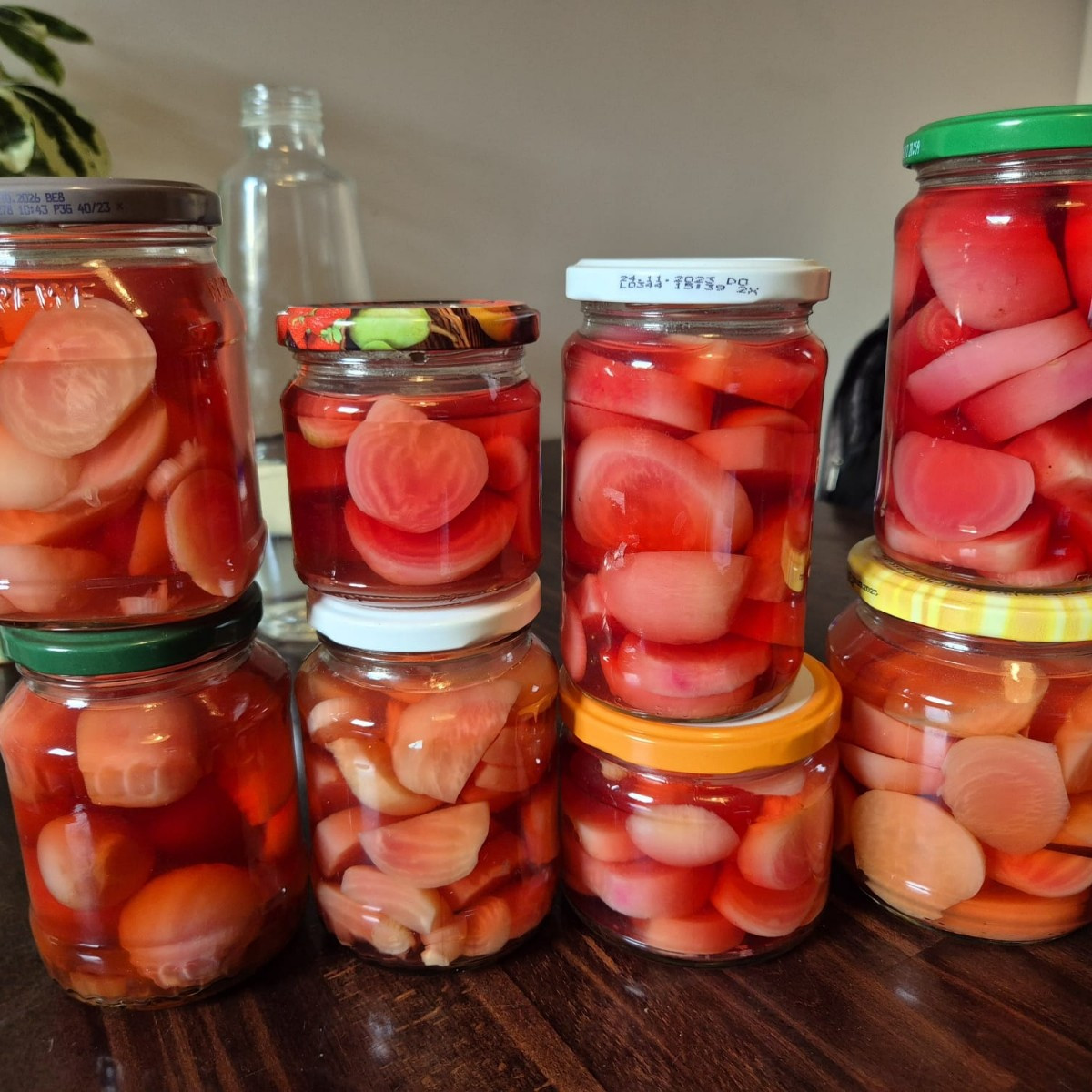 Heutige Ernte hat sich mal wieder gelohnt. Weil es so viel rote Bete (Tondo di Chiogga) ist, habe ich gleich was eingek…