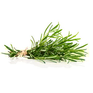 Rosemary