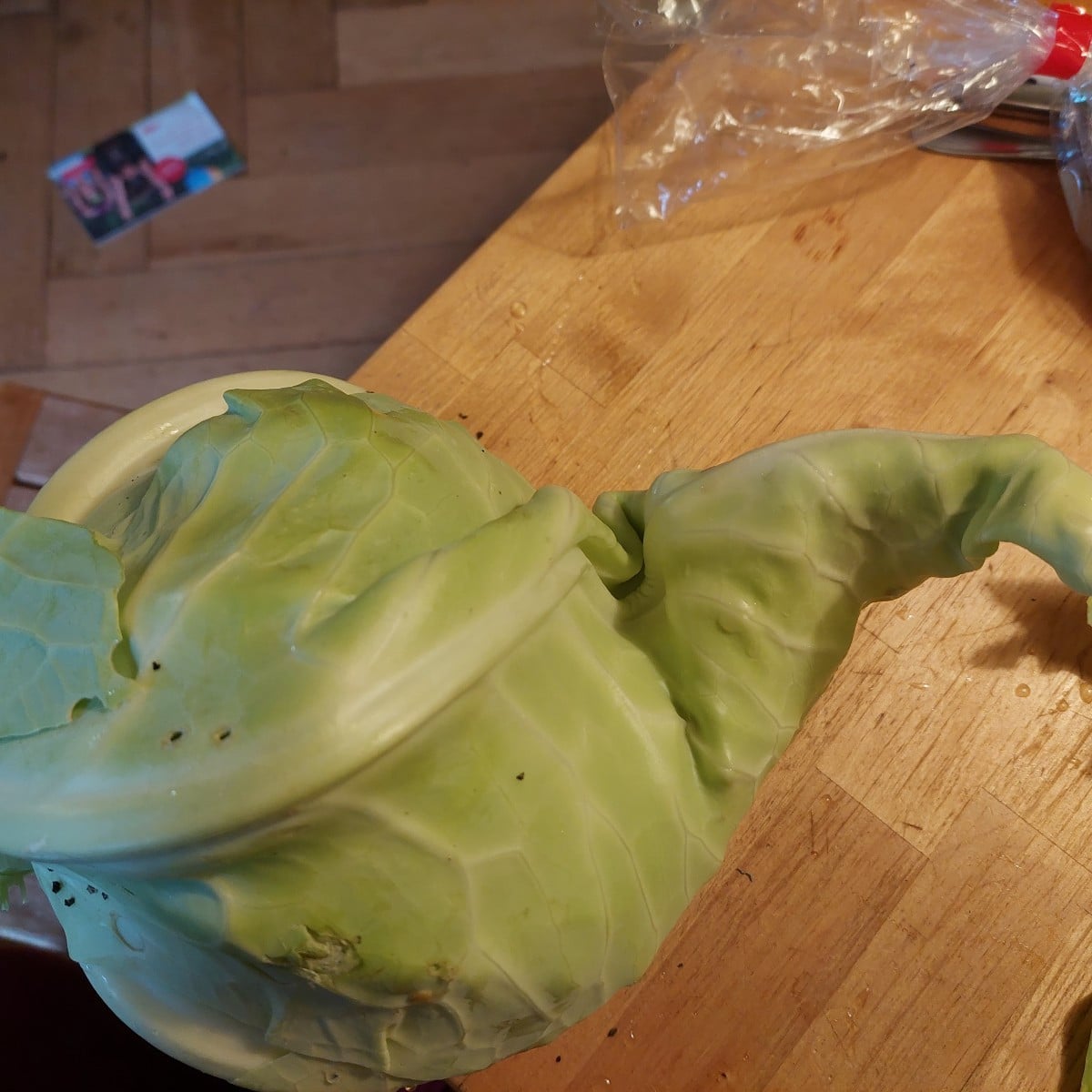 Yesterday in the garden.
Among other things, a #twin bloom
And a pointed cabbage (Filderkraut) with a twisted tip.