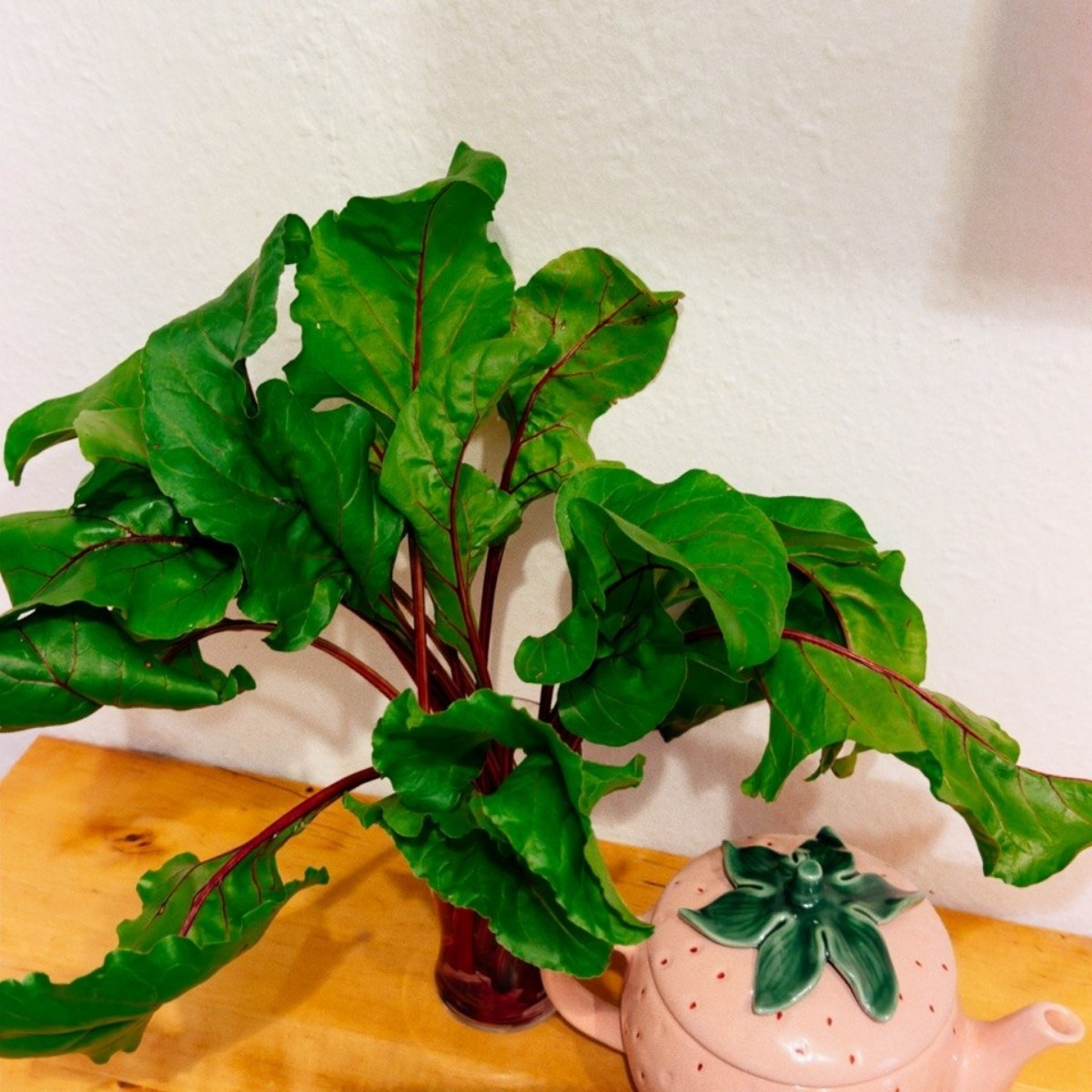 Blumenstrauß aus dem Beet 😁
Was kann man mit rote Beete Blättern denn so kochen?😌