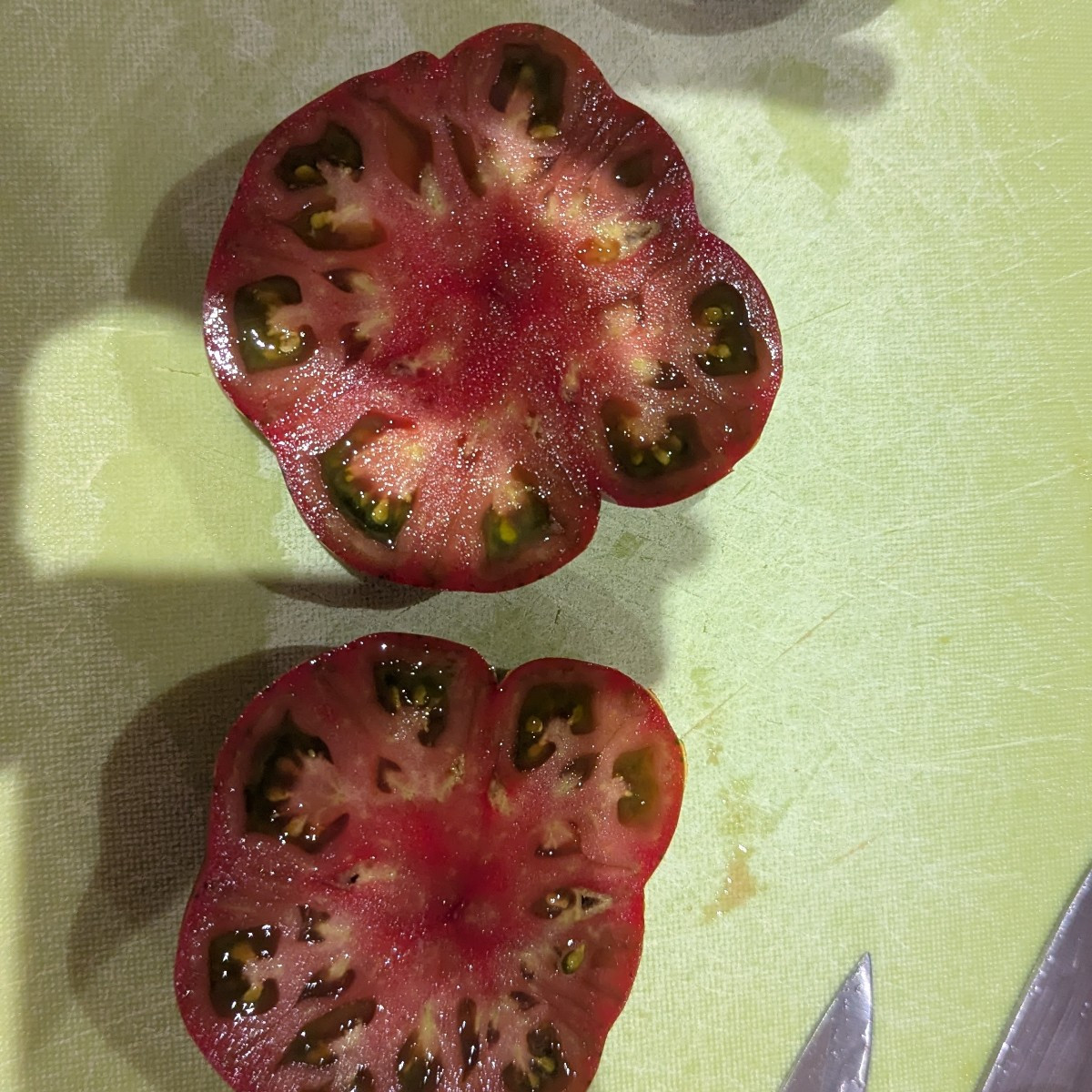 Ein bisschen Garten 
#tomaten
#kohl
#melonen

