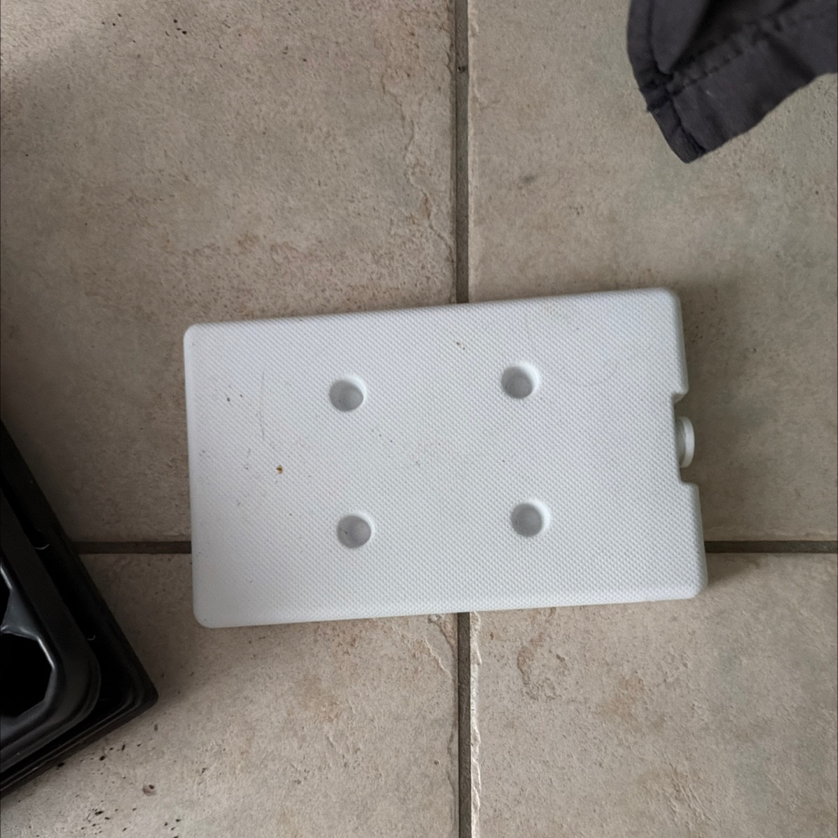 Moin, moin 🤩
Ich bin ganz begeistert, daher einmal teilen:
Meine Anzuchtplatte passt natürlich nicht in den Kühlschran…