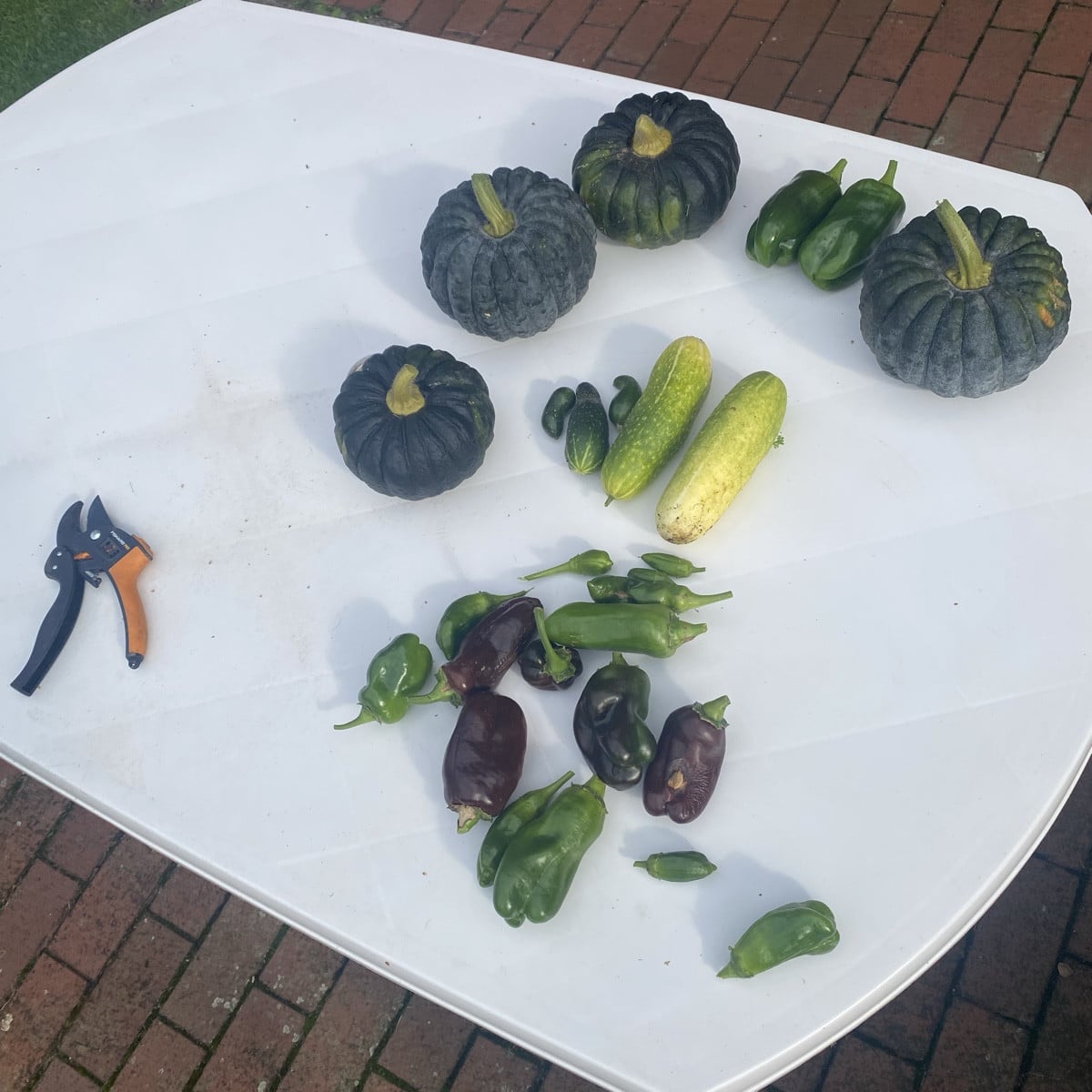 Da hatten sich noch zwei dicke Gurken unter die Petersilie im Beet geschummelt. 
Also morgen: Schmorkurke mit Paprika a…