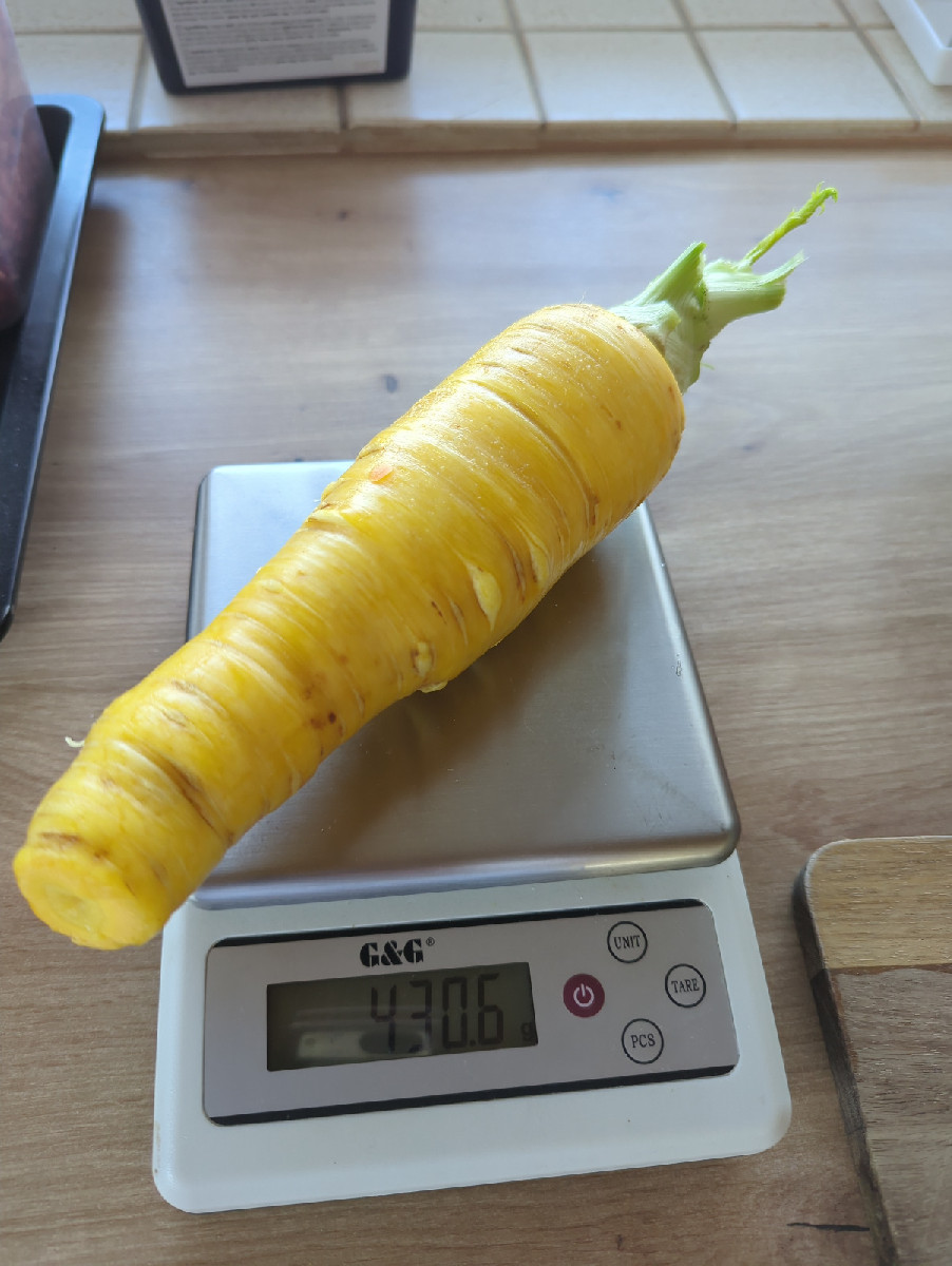 Ich habe dieses Jahr einmal den Versuch gestartet Kartoffeln aus Samen zu ziehen, da das neue Beet erst Ende Mai fertig…