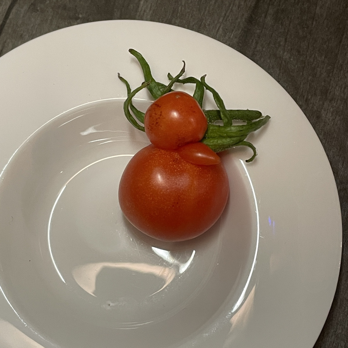 noch kurz vor‘m wohlverdienten Wochenende #einkaufenimgarten gewesen 

dabei ein Tomaten-Entchen (Harzfeuer) entdeckt u…