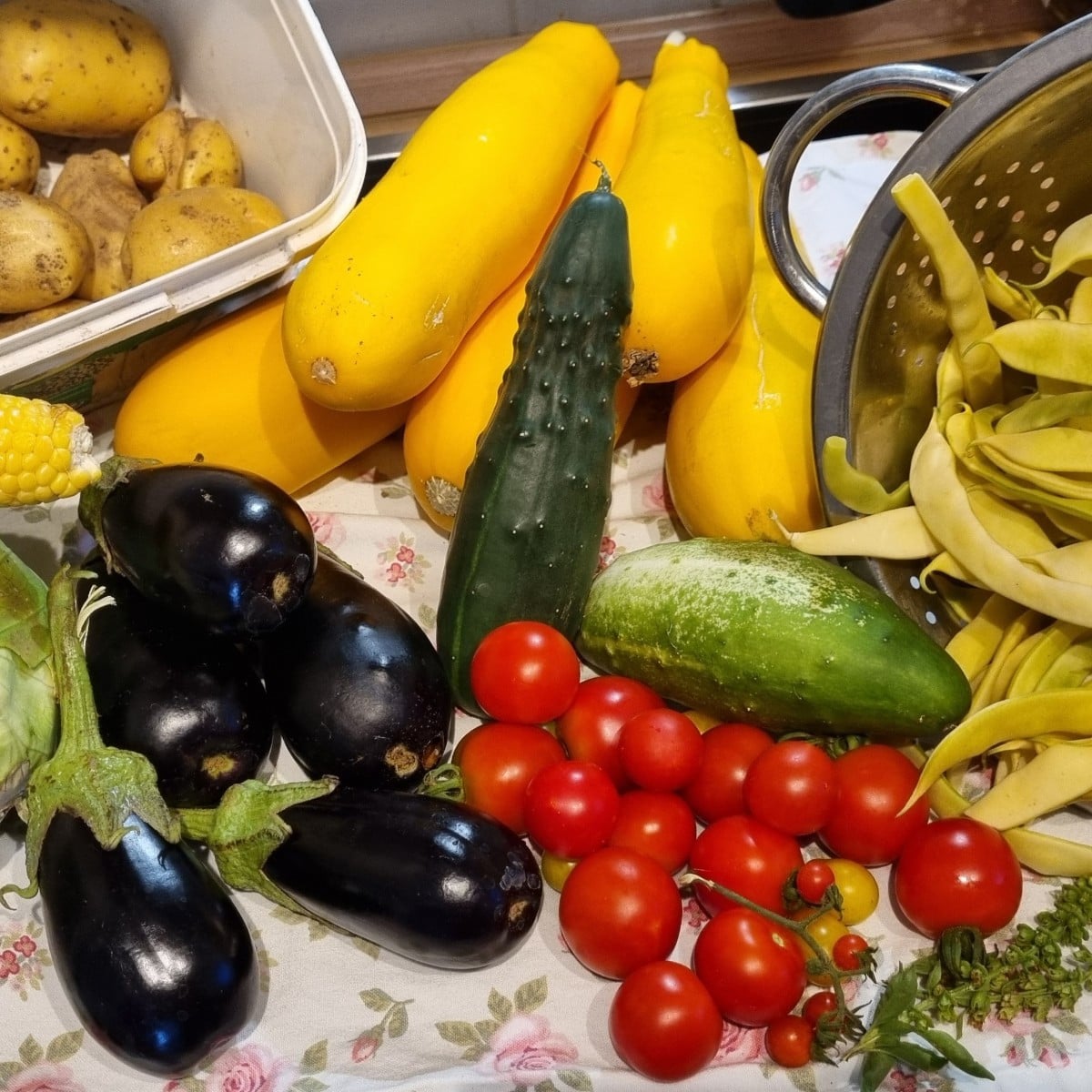 Wir waren heute #einkaufenimgarten.
Trotz Hitzestress und Wasserknappheit konnten wir von unserem Acker die erste Ernte…