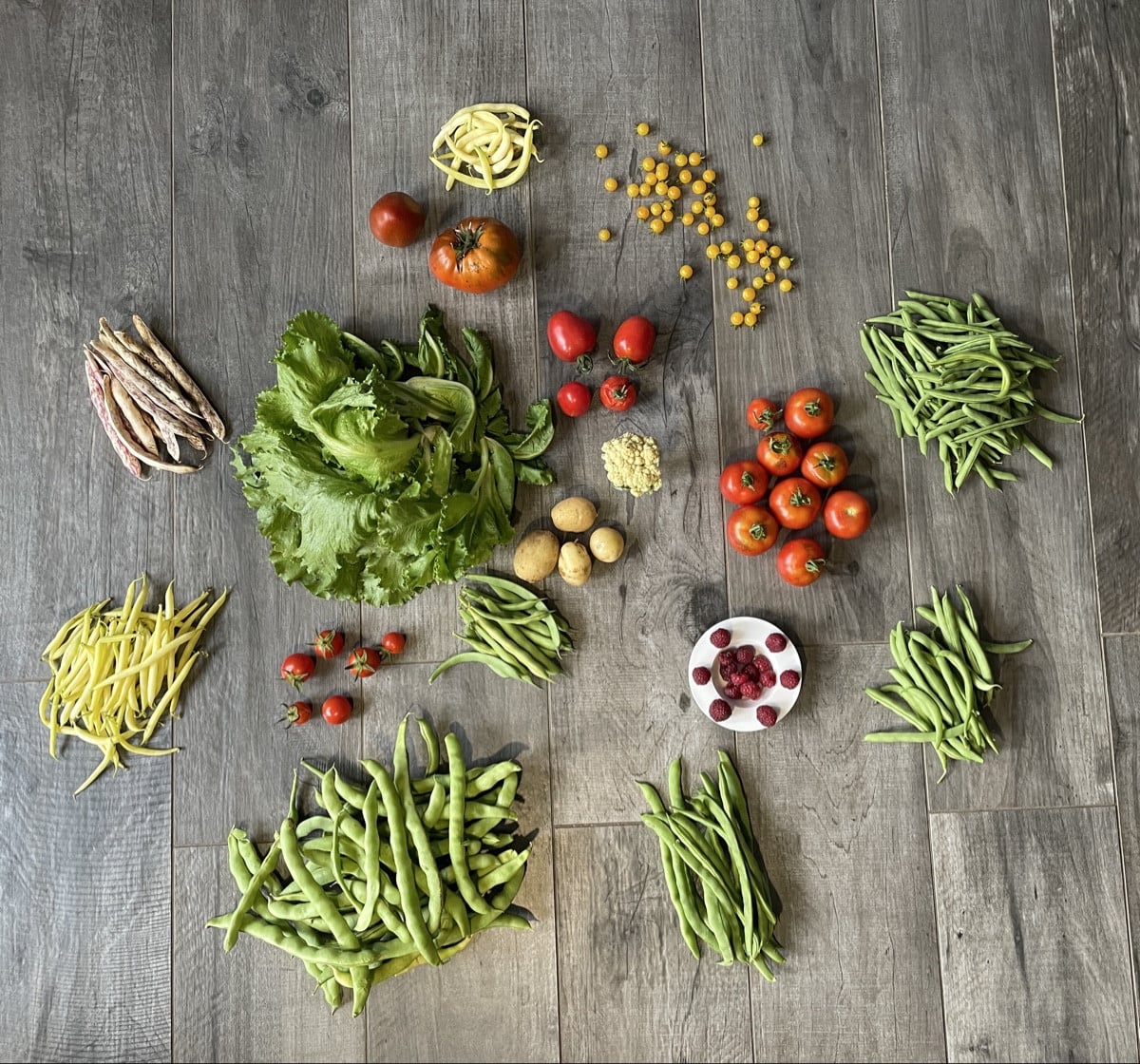 #einkaufenimgarten 

In den Korb 🧺 wanderten, einige Tomaten, sehr viele Bohnen, ein Bonsai-Blumenkohl, Himbeeren, ges…