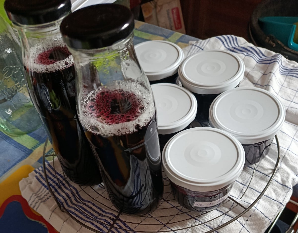 Das ist die Ausbeute aus zwei Sieben Hollerbeeren. Das war sehr mühsam. 
Für die Marmelade wurden die Beeren von den Ri…