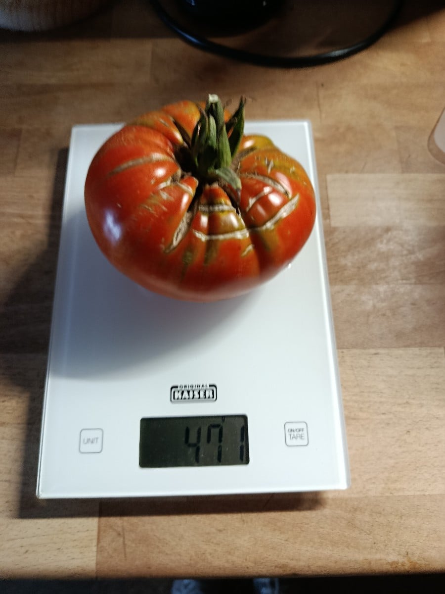 Eine meiner wenigen Fleischtomaten aus dem Freiland. Die Pflanze war dann fertig und ich habe sie heute entfernt. Sie d…