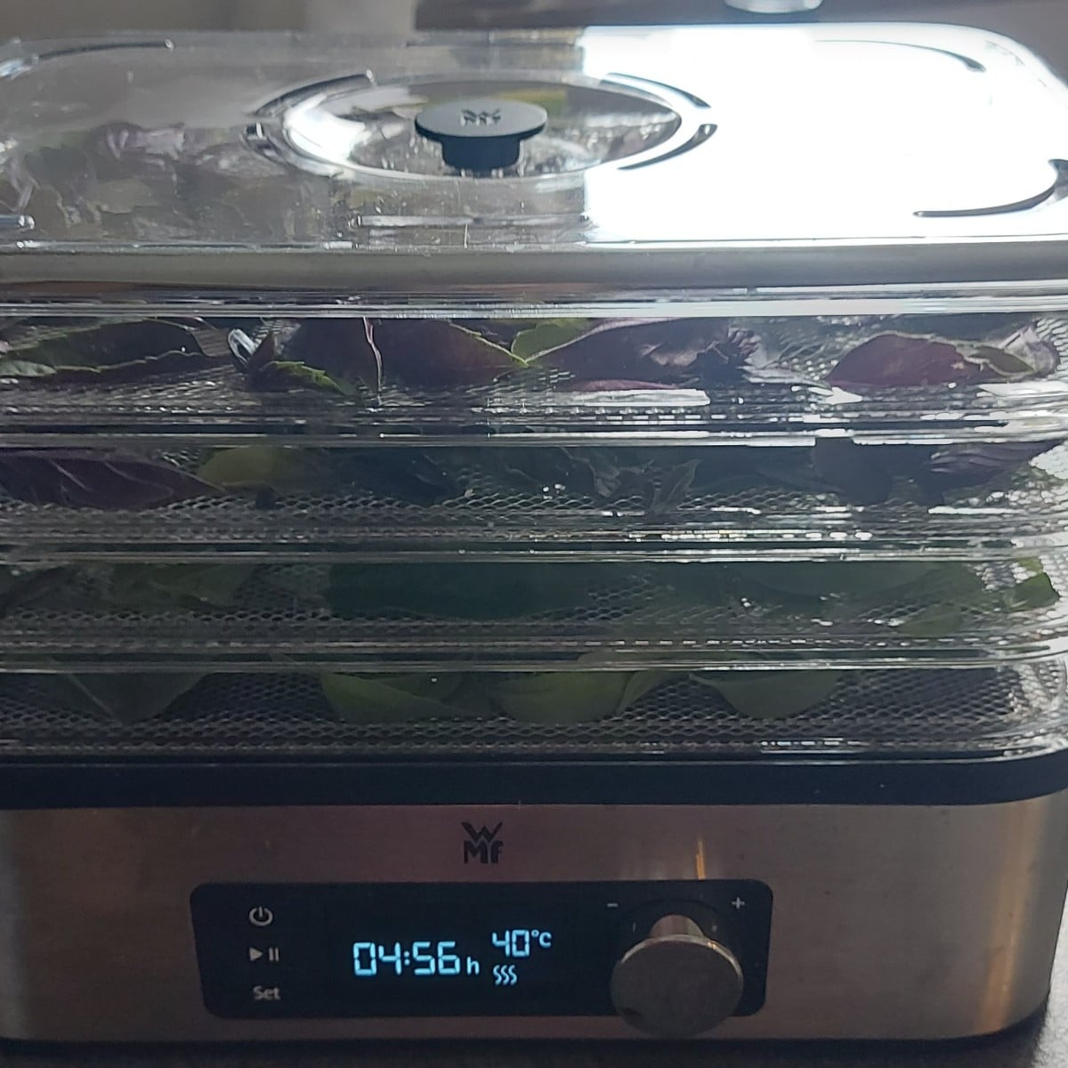 Basilikum geerntet,  gedörrt und Stecklinge gezogen.
  Chilis und Paprika geerntet  und Blumensamen gesichert. Natürlic…