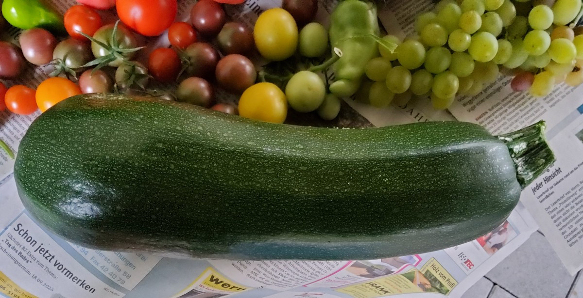 ...stellt euch vor, jetzt wäre ich im Garten beim Ernten fast vom Regen überrascht worden... ...muwahaha...🤣🤣🤣 ...de…