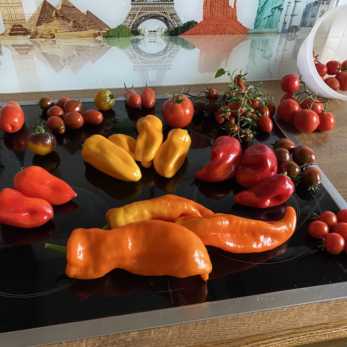 Endlich hat es geregnet!
Da hol ich doch schnell mal meine reifen Tomaten rein, bevor sie platzen …..
Paprika natürlich…
